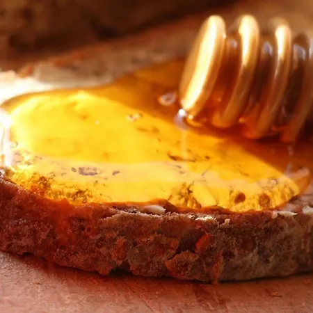 奥地利凯莉经典酒店 4* 萨尔茨堡